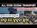 Kukuda chick supply odisha  desi chicken farming in odisha  free range chicken farming in odisha