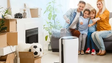 The Ultimate Guide to Refrigerant Dehumidifiers: How They Work and Why You Need One!