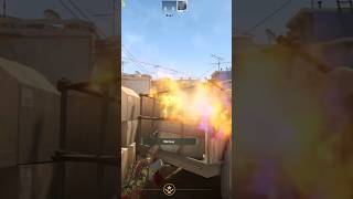 Always Throw This Molly To Window