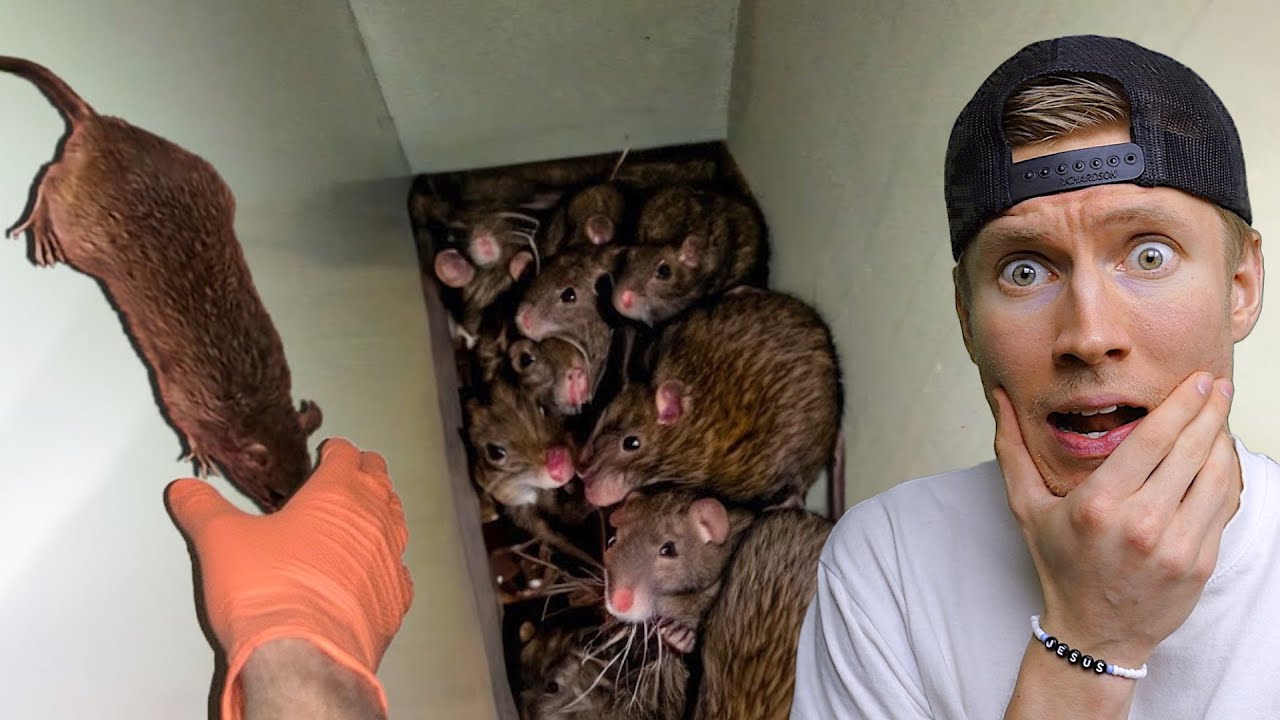 Får du PANIK så förlorar du!! *ÄCKLIGT*