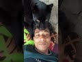 #tweening