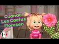 Las Canciones de Masha - 🌵Cuando Los Cactus Florecen 🌺 🇲🇽