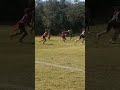 Stepback score #kidsvideo #kids #fun #ymca #football #score #touchdown #awesome #youtubeshorts