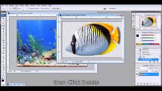 How To Create Gif Animation In Photoshop Cs3 Youtube