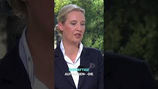 💙 ALICE WEIDEL: Sozialsystem - Wer profitiert wirklich &amp; wer wird verdrängt? #shorts
