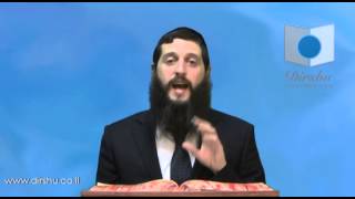 הדף היומי - מסכת תענית דף לא