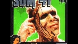 Sum 41- The hell song acoustic