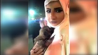 طقطقه على فاشينيستا الجنوب والحيوانات 2019