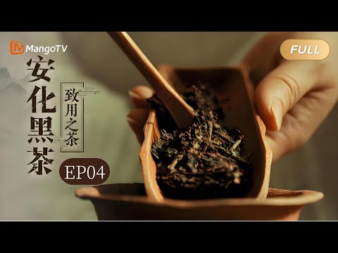 【FULL】纪录片《安化黑茶》EP04·致用之茶:真正的成熟不是变苦 而是学会回甘|Mango Documentary
