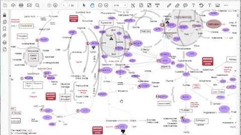 Methylation Interactive Chart Instruction Video