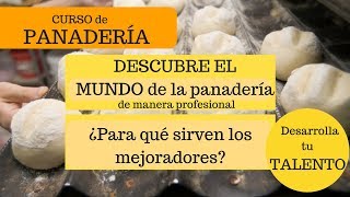 ¿ Para Qué Sirven Los Mejoradores? 👇 EBOOK MASA MADRE 👇 screenshot 3