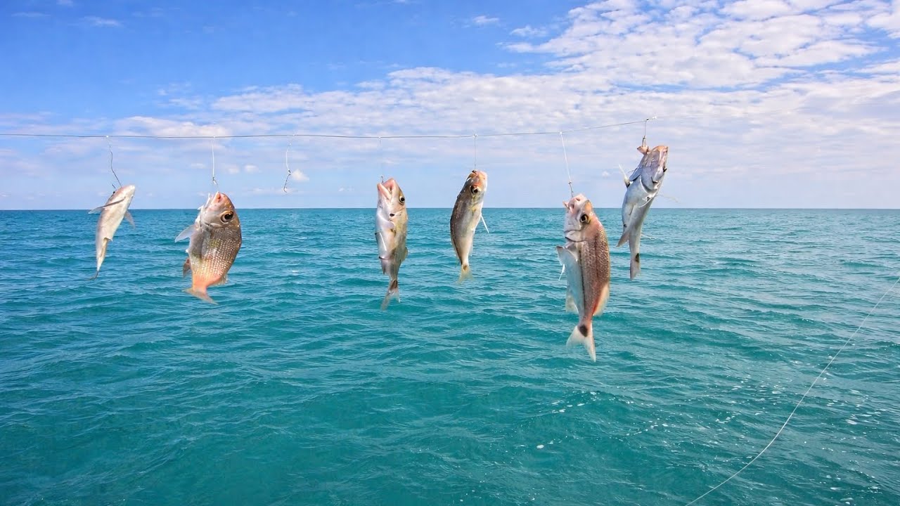 O SEGREDO DO ESPINHEL COMEÇA AQUI!       XILA - MOREIA = ESPINHEL PESADO . 🎣🔥