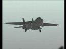 IRIS Premium Series F-14 Tomcat for FS2004