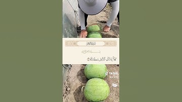 احترم القرآن يا صديقي وانشره فالدال على الخير كفاعله #احترم_القرآن #احترم #آيات #انشرو_القران #لايك