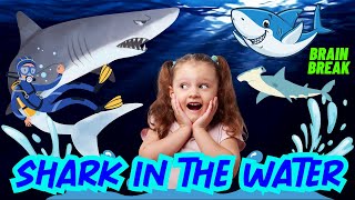 SHARK IN THE WATER GAME. EXERCISE BRAIN BREAK FOR KIDS RUN CHASE FUN LIKE FREEZE DANCE FLOOR IS LAVA
