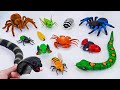 [🐍 toy asmr 🐍] Zuru Robo Alive Snake &amp; Tarantula &amp; Insect Toy Collection | Satisfying Unboxing