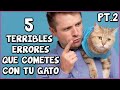 Errores Terribles Que Cometes Con Tu Gato y No Sabías PT. 2 - SiamCatChannel