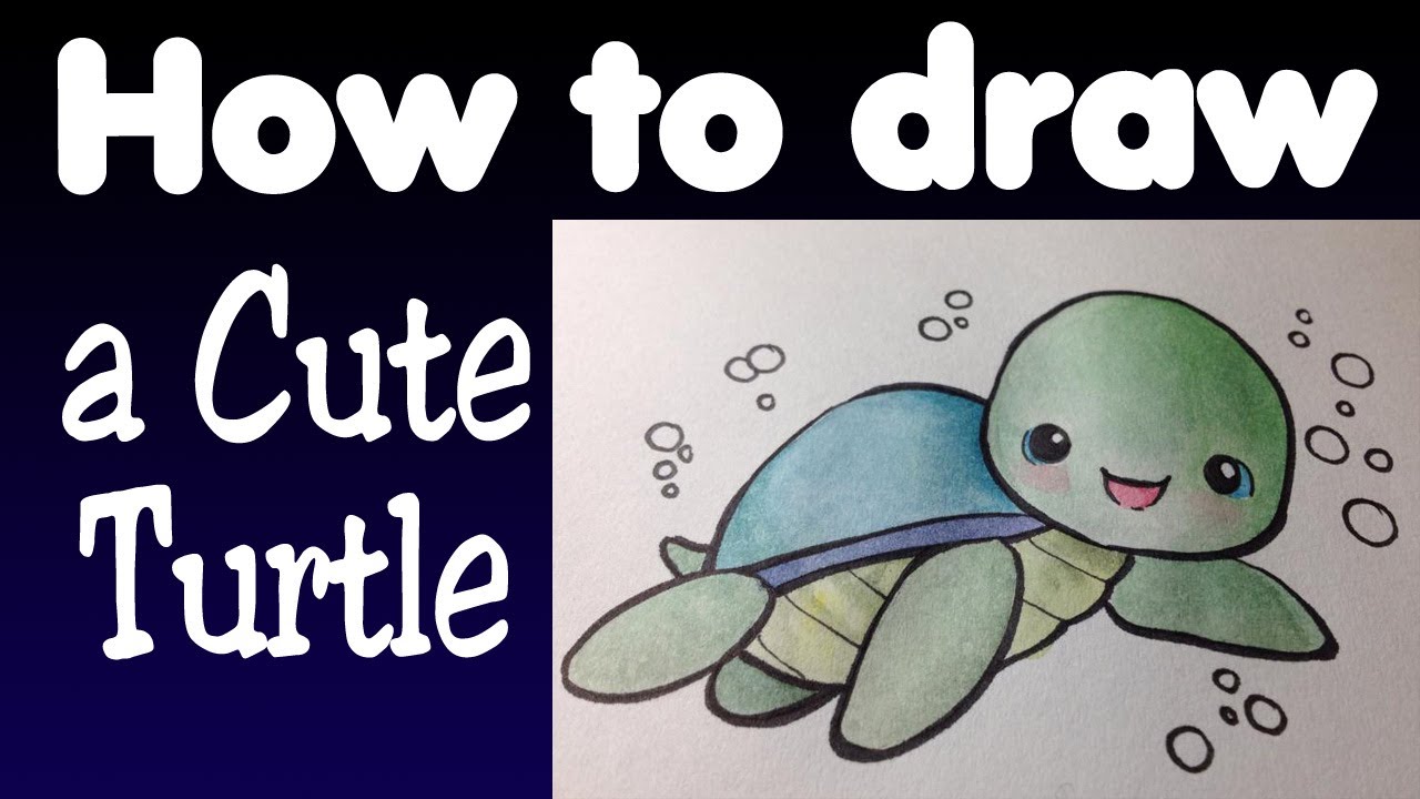 how to draw a cute turtle