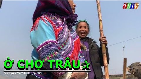 TỔNG QUÁT PHIÊN CHỢ TRÂU - DÊ CỐC LY - CHỢ PHIÊN TÂY BẮC GIÁP BIÊN