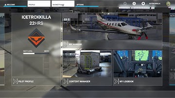 Microsoft Flight Simulator through the menus