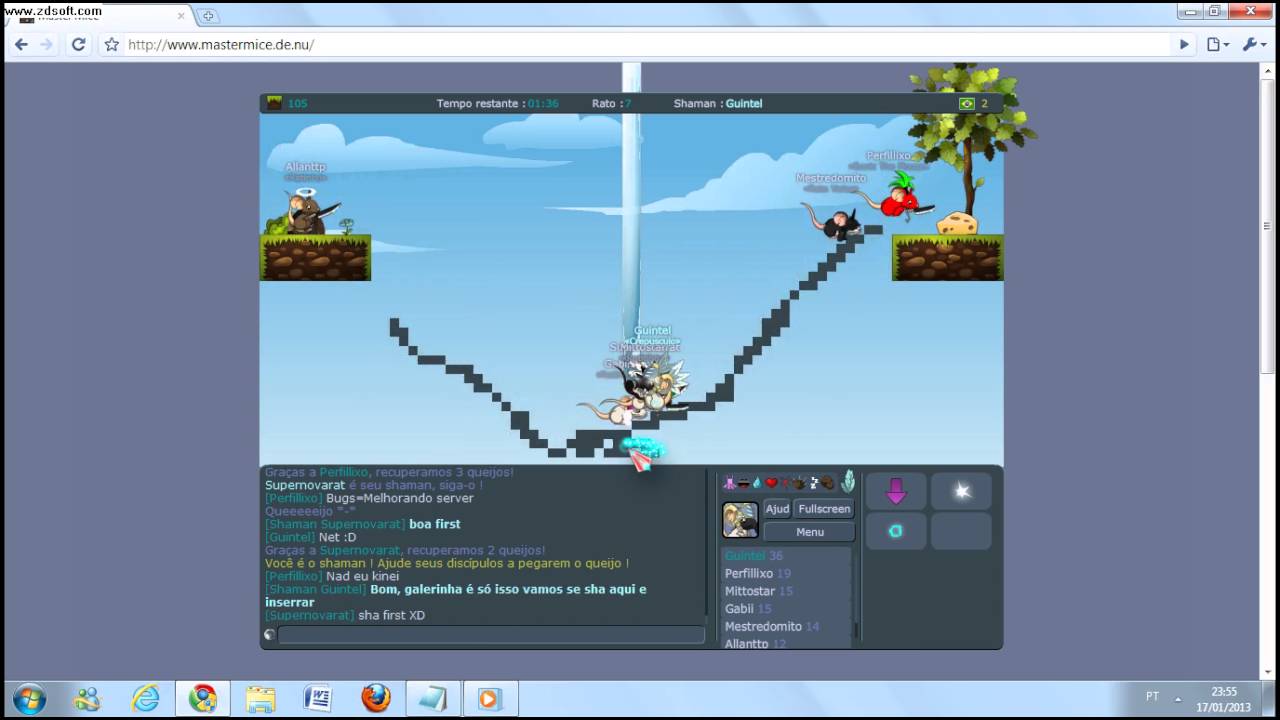 Novo mice pirata 2013