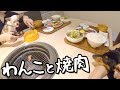 子犬チワワとチワックスさん、久々の焼肉に大興奮