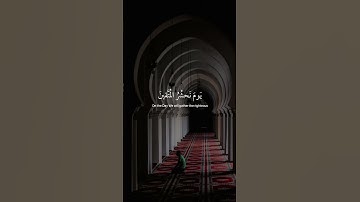 ﴿ فلَا تعجَل عليهِم إنَّمَا نعُد لهم عدًا ﴾ سوره مريم، عبدالرحمن مسعد #ارح_سمعك #ارح_قلبك #قران_كريم