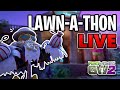 Jumping Back into the Town Hall - GW2 LIVE
