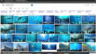Microsoft Ignite 2016 Dive deeper into what's new and what's coming in Outlook on the web