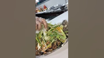 CÁ MŨ HẤP HỒNG KÔNG NHÌN HẤP DẪN