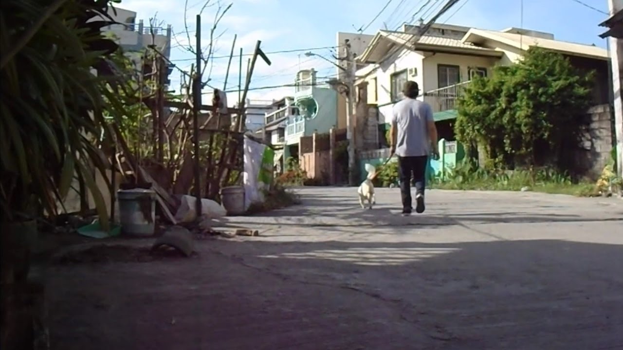 Testing The Sony Dsc W800 Camera Vlog 5 Youtube