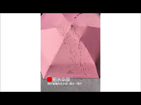 迷你五折晴雨傘