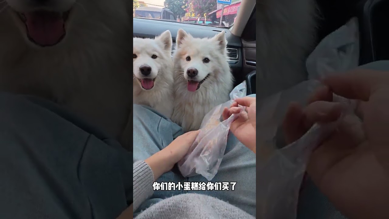 Mom said that both small cakes and small cans can make the unpleasantness fly away#Cut