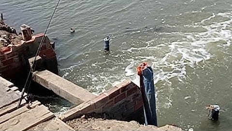 Câu Cá Tráp Đầu Mùa Ngày Đầu Nước || Câu Đùng Mỹ Xuân 