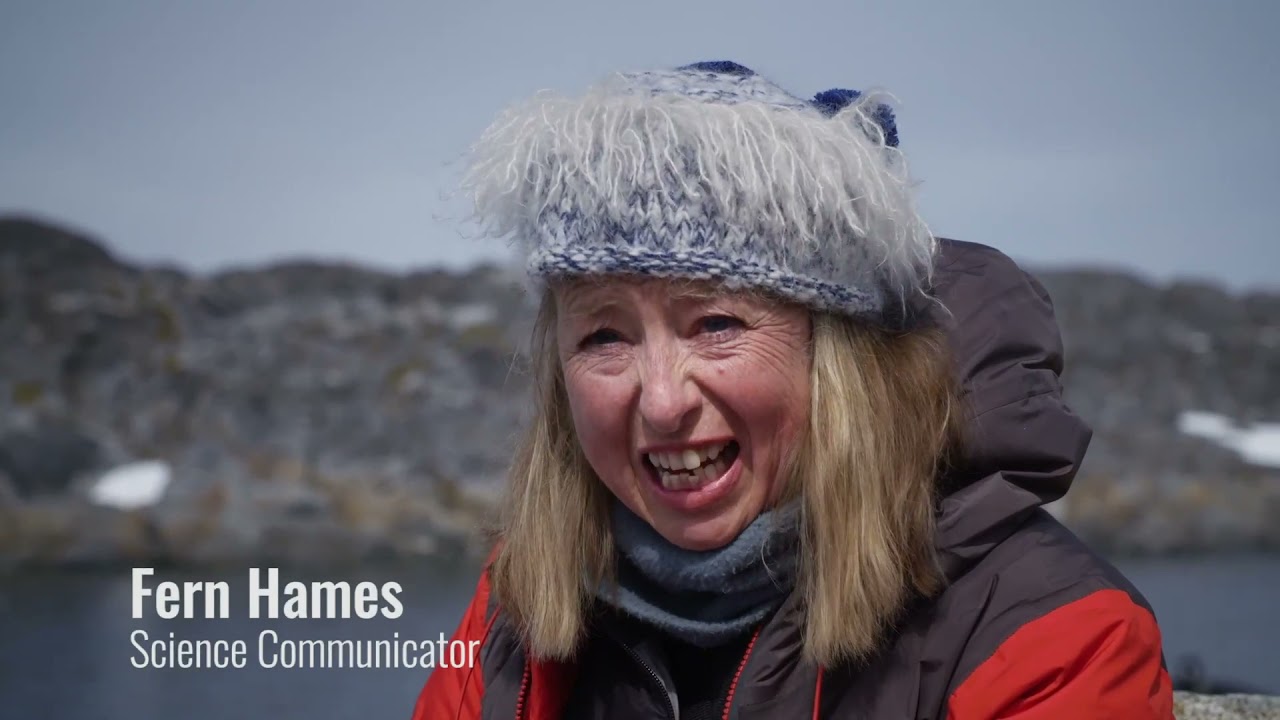 ANTARCTICA, the Canary in the Coal Mine