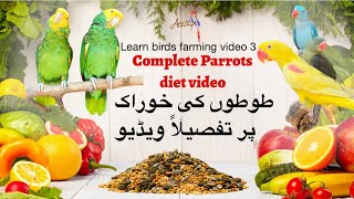 complete diet plan for parrots learn birds farming video 3