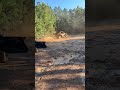 Baby fall #sxs #fyp #nature #crash #mud