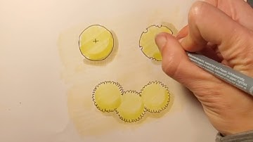 How to draw plant symbols like a landscape designer - 1 min tutorial #shorts