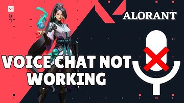 Voice chat not working Valorant Fix