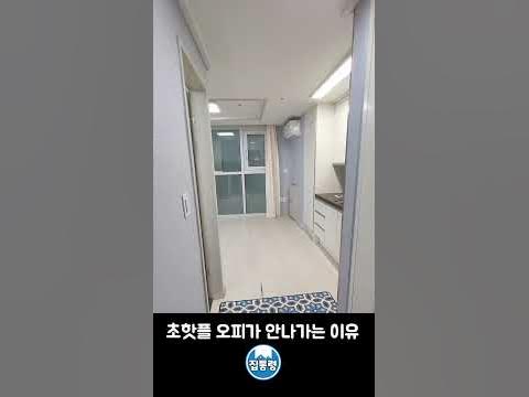 초핫플 오피가 안나가는 이유 #Shorts - Youtube