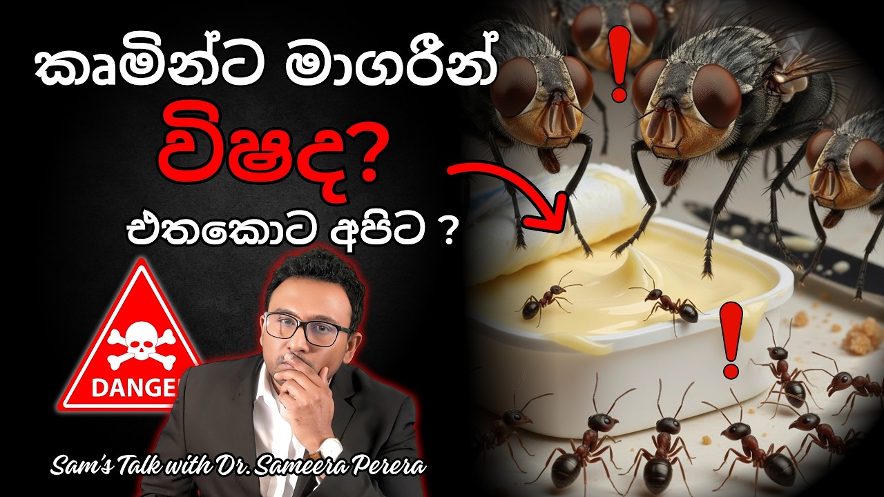 මාගරීන් වල පාම් තෙල් තියෙනවද? | The Truth About Margarine and Refined Vegetable Oils (RBD Oils)