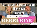 Berberine Improves Blood Sugar and Cholesterol - Natural Supplement