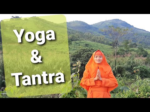 Video: Sự khác biệt giữa yoga và tantra là gì?