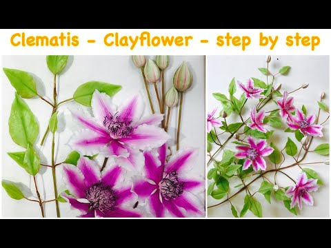 Video: Clematis Omoshiro: phát triển tại nhà