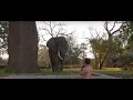This is Africa - Episode 5 "Elephant in My Underpants"