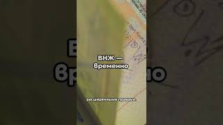 ВНЖ vs ПМЖ #юрист #налоги #компаниязаграницей #BroudLegal #юридическиеуслуги #бизнес #инвестиции
