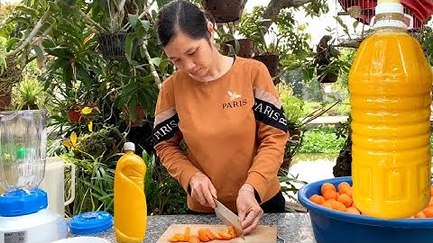 Làm nước rửa chén từ trái quất bỏ đi sau tết thật đơn giản, không hại da tay lại rửa chén cực sạch