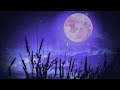 Tranquil Sleep Meditation | Sleeping Music 528Hz | Deepest Miracle Music Sleep | Positive Energy