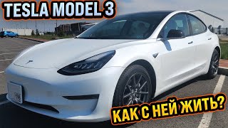 :      Tesla Model 3  |   