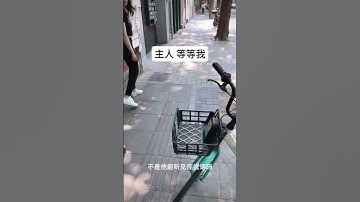 小姐姐逛街買東西都帶著機器狗，AI機器人已經真的走進生活裏了 #AI機器人 #機器狗